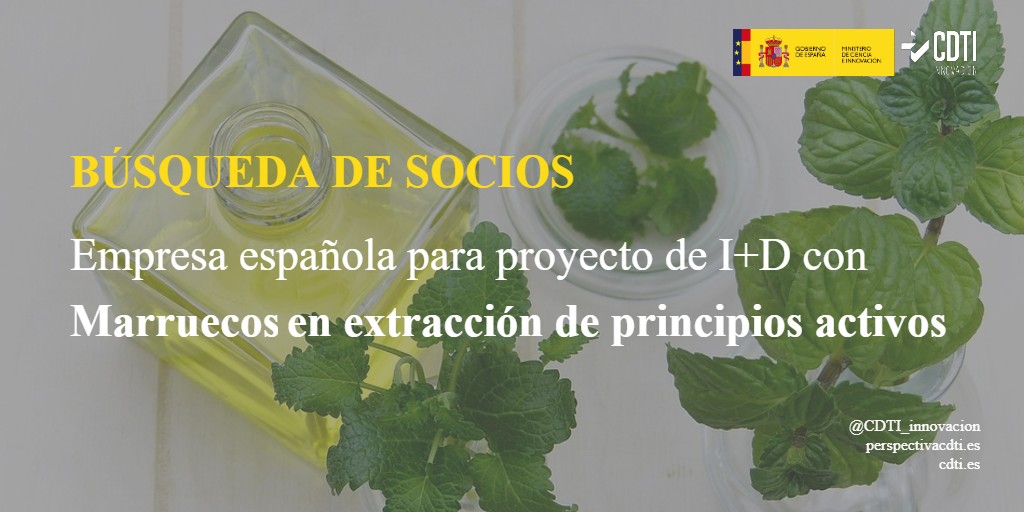 Búsqueda de una empresa española para colaborar con Marruecos en diferentes sistemas de extracción de principios activos a partir de plantas aromáticas y medicinales