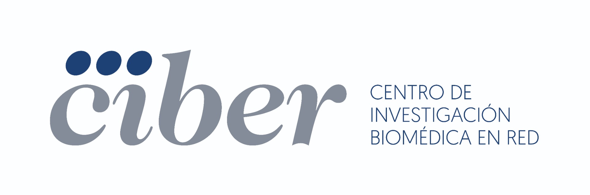 logo ciber