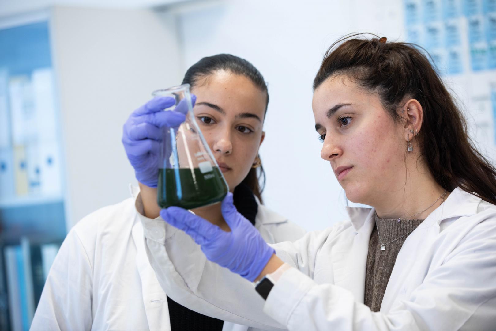 Responsable y técnico de laboratorio PLYMAG