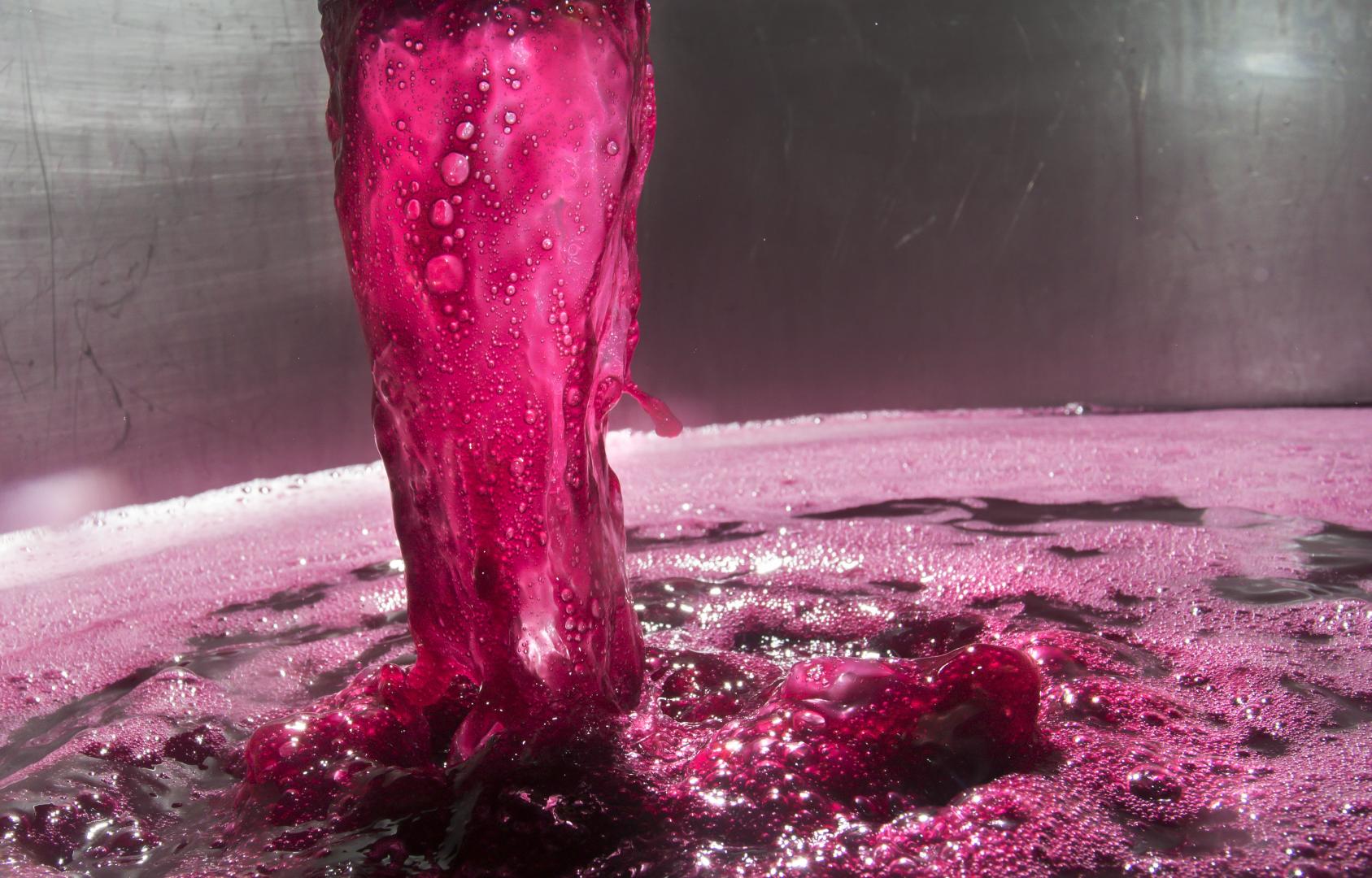 Elaboración de los vinos Corimbo