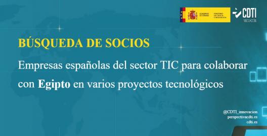 Búsqueda de empresas españolas del sector TIC para colaborar con una empresa egipcia en varios proyectos tecnológicos