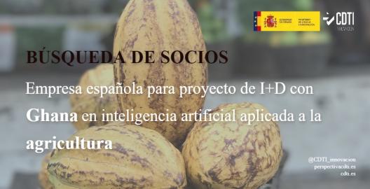 El CDTI Innovación difunde una nueva búsqueda de una empresa española para participar en un proyecto de I+D, en colaboración con Ghana, sobre Inteligencia Artificial aplicada a la agricultura